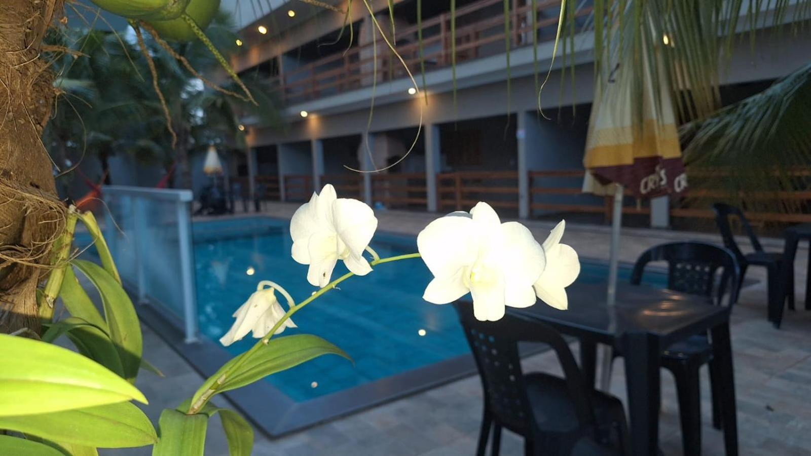 Apartment Alto Costa Flats