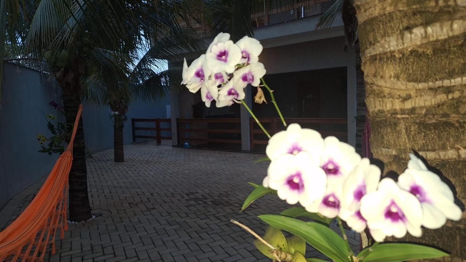 Alto Costa Flats Apartment *